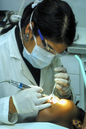 Dr. Sheerin Fatima